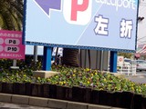 20050305-船橋市浜町2・ららぽーと・花壇・春-1006-DSC05922