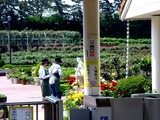 20050429-習志野市谷津3・谷津公園・バラ園-1039-DSC09633