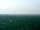 20050223-0910-春一番-DSC08507