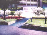 20050308-船橋市浜町2・ザウス跡開発・ゼファー・ワンダーベイシティサザン-0021-DSC06201