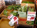 20050604-船橋市市場1・船橋中央卸売市場・ふなばし楽市-1024-DSC02476