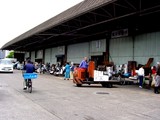20050604-船橋市市場1・船橋中央卸売市場・ふなばし楽市-1035-DSC02495