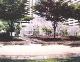 20050308-船橋市浜町2・ザウス跡開発・ゼファー・ワンダーベイシティサザン-0021-DSC06202