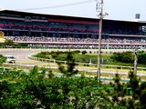 20050505-船橋若松1・船橋競馬場・第17回かしわ記念GI-1354-DSC00773