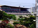 20050505-船橋若松1・船橋競馬場・第17回かしわ記念GI-1351-DSC00763