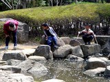 20050416-習志野市・習志野緩衝緑地・香澄公園・ザリガニ取り-1021-DSC08745