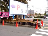 20050303-船橋市浜町2・ららぽーと・花壇・春-0843-DSC05722