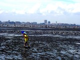 20040801-船橋浜町公民館・親子で体験三番瀬-DSC06582