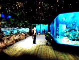 品川プリンスアクアスタジアム・水族館