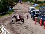 20050505-船橋若松1・船橋競馬場・第17回かしわ記念GI-1353-DSC00770