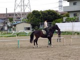 20050506-船橋市北本町2・船橋乗馬クラブ-1014-DSC01144