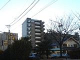 20051228-��������ۡ��ࡦ��������ۡ���No.15-1523-DSC02569