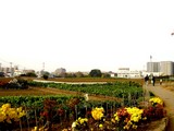 20051126-JR津田沼駅南口・農地再開発-1340-DSC08932