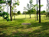 20050505-東京都江戸川区臨海町6・葛西臨海公園・東京都葛西臨海水族園-1532-DSC00992