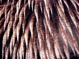 �ֲ�-DSC07094.JPG