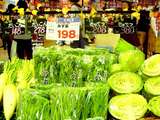 船橋市浜町2・ららぽーと・京成ストア・野菜価格・大根キャベツ-20041106-DSC00651