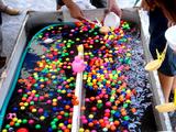 20060730-�������ä�2006-1015-DSC03811
