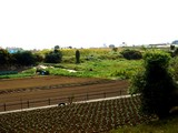 20061014-習志野市立第一中学校-1101-DSC06341