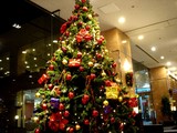 20071224-街の中のクリスマス・三井ガーデン-1812-DSC01090