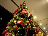 20071224-街の中のクリスマス・三井ガーデン-1812-DSC01092