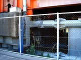 20070430-�Ѵ���ƻϩ�䶯���ѿ̹���-1411-DSC02557