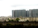20080504-�����ԡ������ɥۥ饤����ȡ����硼�٥�-1257-DSC00075