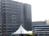 20080501-�����ԡ������ɥۥ饤����ȡ����硼�٥�-0854-DSC09335