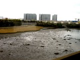 20080504-船橋市・グランドホライゾントーキョーベイ-1257-DSC00072