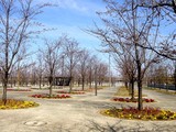 20090329_������ԼǱ�1_�����鹭��_�ѥʥ��˥å�_1204_DSC09314