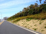 20090329_������ԼǱ�1_�����鹭��_�ѥʥ��˥å�_1208_DSC09341