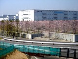 20090406_������ԼǱ�1_�����鹭��_�ѥʥ��˥å�_1023_DSC01438