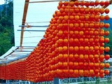 20091226_�Ĥ뤷��_������_�³�_110