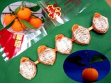 20091226_�Ĥ뤷��_������_�³�_130