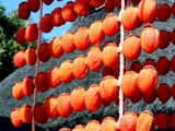 20091226_�Ĥ뤷��_������_�³�_120
