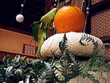 20081228_������_����_��_��������_�ߤ���_090