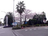 20090408_��������Į2_���ݡ���TOKYO-BAY_��_0844_DSC04003