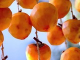 20091226_�Ĥ뤷��_������_�³�_052