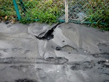 20110312_東日本巨大地震_船橋市若松_水道断水_1631_DSC08920