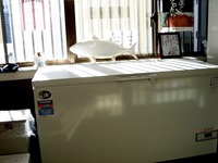 20131229_船橋市浜町3_東水フーズ_水産_マグロ_1145_DSC07418