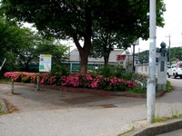 20120602_船橋市_海老川ジョギングロード_ツツジ_1132_DSC07066