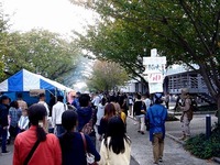 20131103_船橋市_日本大学理工学部_習志野祭_1259_DSC07064