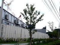 20130803_船橋市習志野台1_千葉徳州会病院_1213_DSC02913