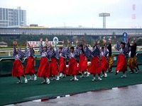 20120422_船橋市若松1_船橋競馬場_よさこい祭り_1313_DSC09744