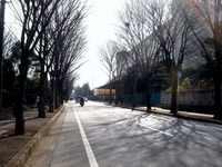 20130113_習志野演習場_第1空挺団降下訓練始め_1231_DSC09995