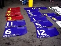 20120422_船橋市若松1_船橋競馬場_よさこい祭り_1255_DSC09664