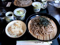 20130119_習志野市_谷津干潟自然観察_谷津干潟茶屋_140