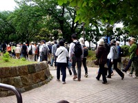20120512_習志野市谷津_新京成沿線ハイキング_0918_DSC02863