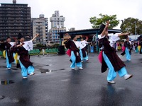 20120422_船橋市若松1_船橋競馬場_よさこい祭り_1318_DSC09769