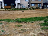 20130324_習志野市_奏の杜_ピーターパン_1149_DSC07679