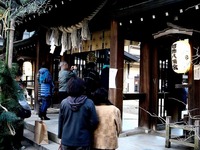 20131231_市川市八幡4_葛飾八幡宮_茅の輪くぐり_1615_DSC08134